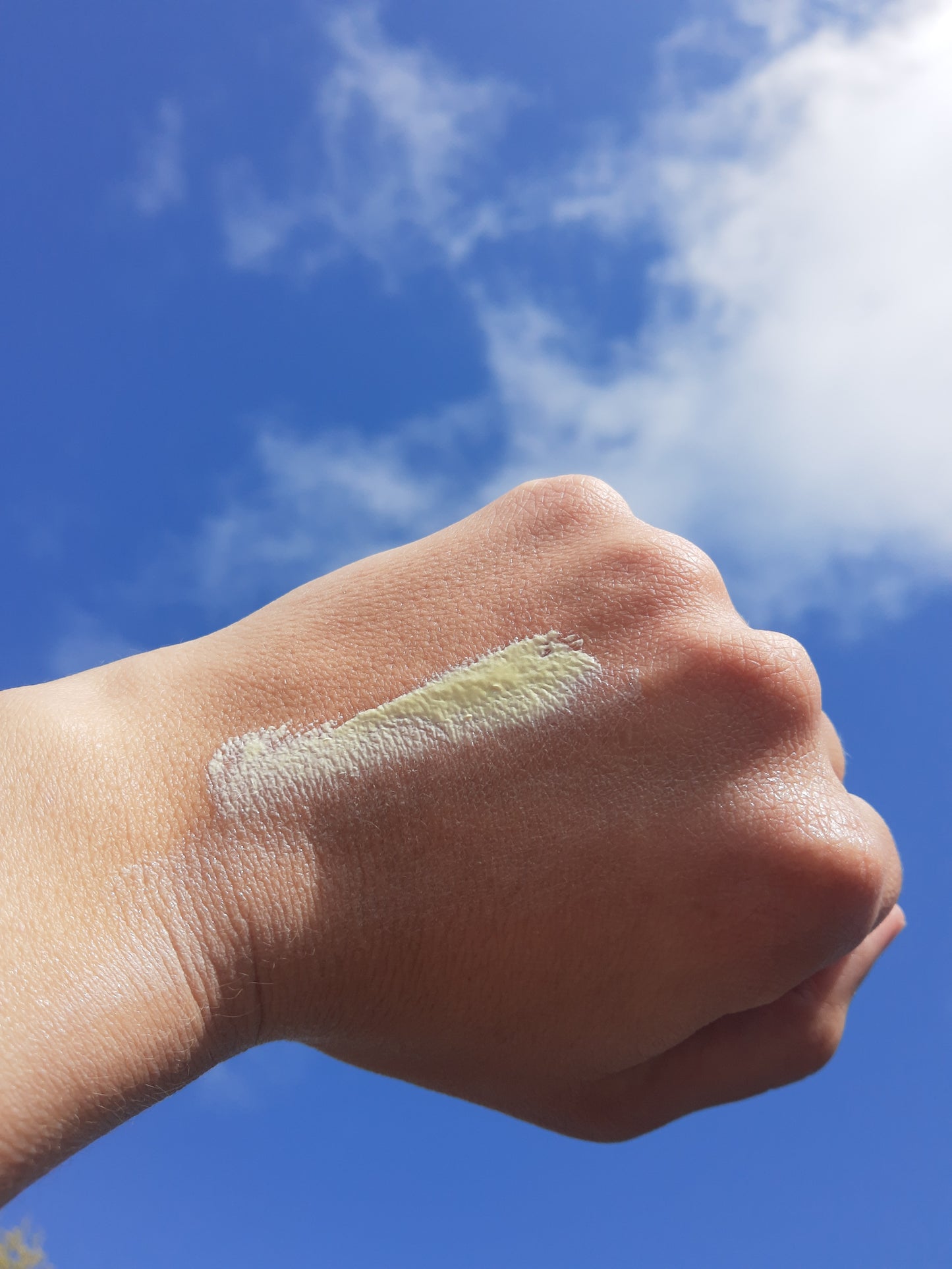 Nourish & Shield: Natural Tallow Zinc Balm